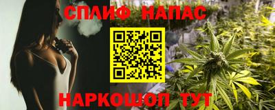 молекула духа Пугачёв