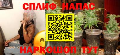 молекула духа Пугачёв